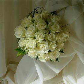 fwthumbCNV00016 - Copy.jpg